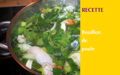 Bouillon de poule