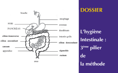 L’hygiène intestinale 3ème pilier