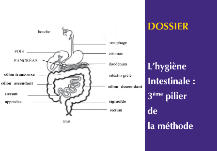 Laxatif Puissant contre la Constipation – Detox Foie Intestin