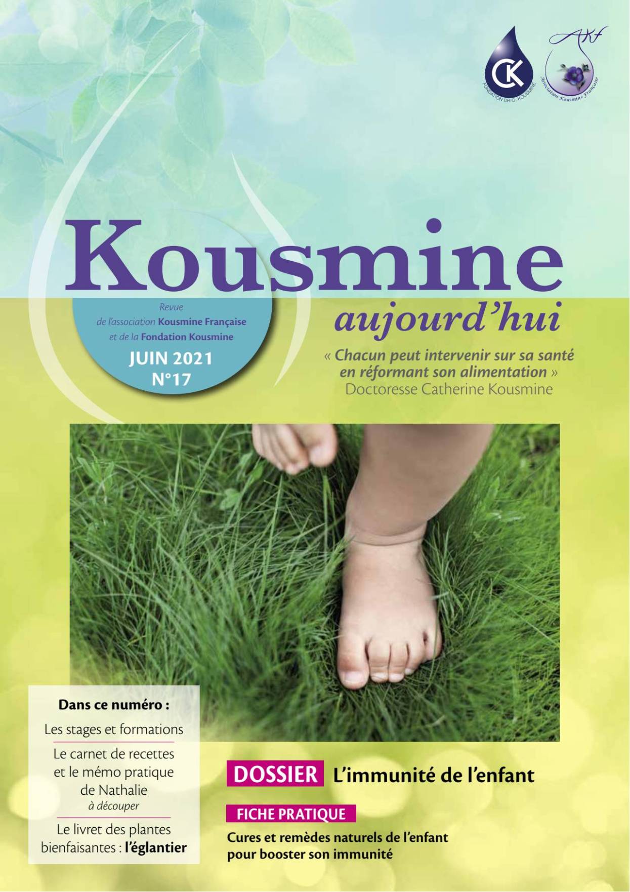 Revue n17 - AKFFK