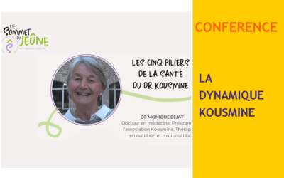 vidéoconférence La dynamique KOUSMINE